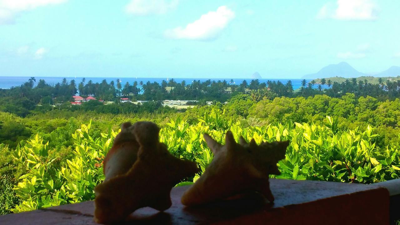 Studios Carribean Sea View Sainte-Anne Exterior photo